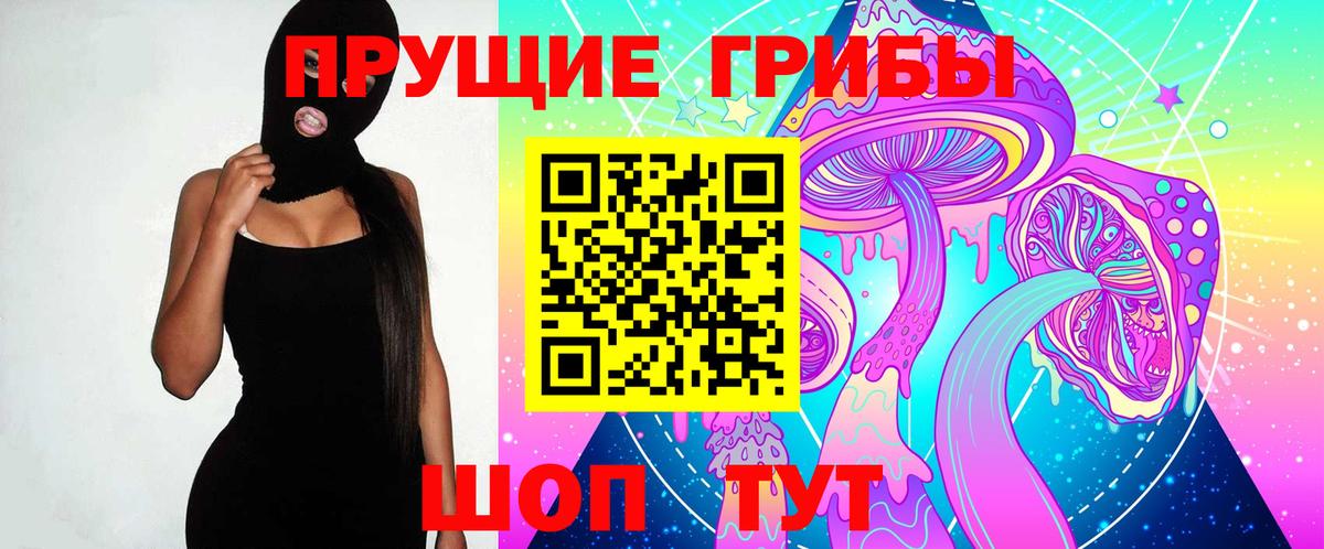 Псилоцибиновые грибы GOLDEN TEACHER Кашира